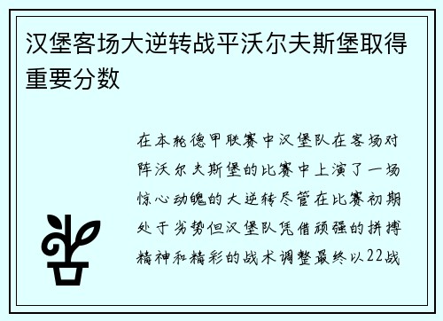 汉堡客场大逆转战平沃尔夫斯堡取得重要分数