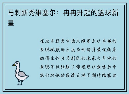 马刺新秀维塞尔：冉冉升起的篮球新星